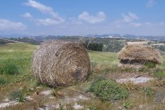 Seichte Landschaft