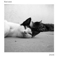 Katzenkalender 2026